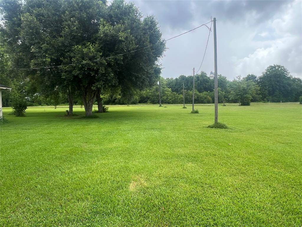 This is a spacious, green lawn with mature trees and utility poles, suggesting a large, serene outdoor space potentially suitable for a home with a sizable yard. So so beautiful!