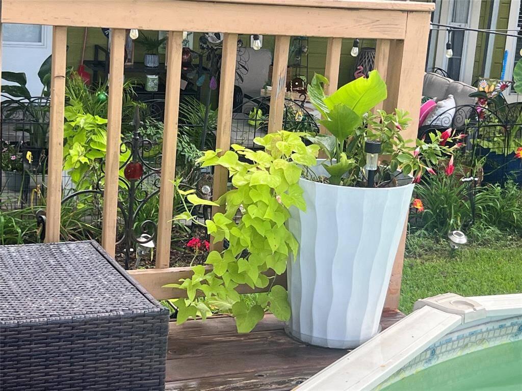 This outdoor space features a cozy deck with vibrant potted plants and a glimpse of the pool, suggesting a private oasis perfect for relaxation and entertaining.