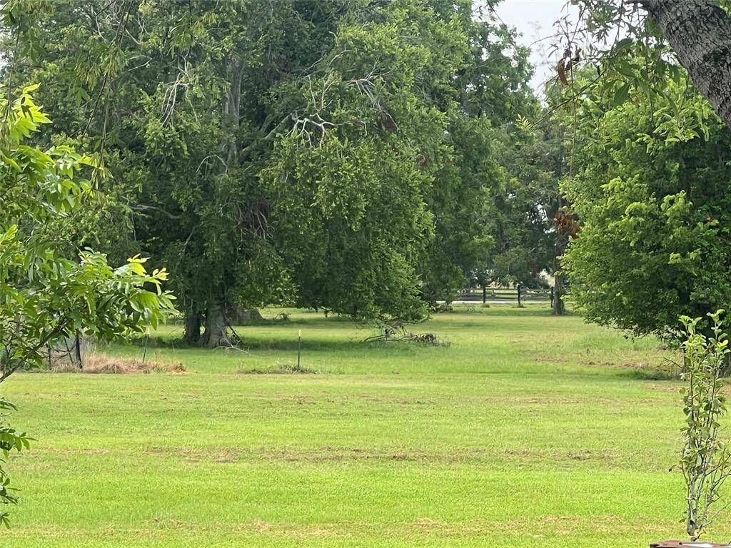 This is a serene, green landscape with mature trees offering a tranquil setting, ideal for a home buyer looking for a spacious yard with natural surroundings. Pure tranquility and peace!