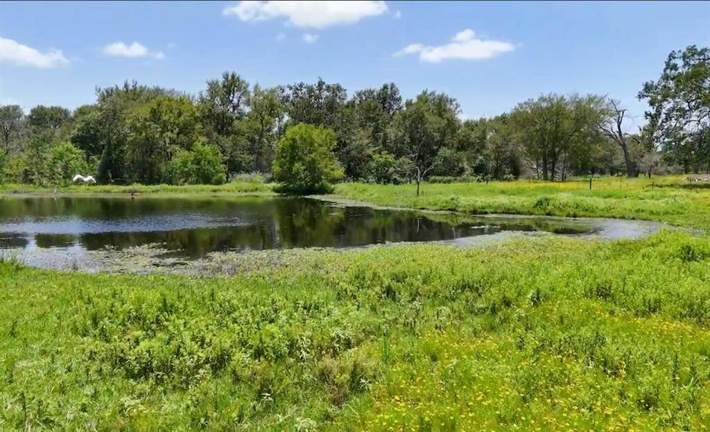 Beautiful Outdoor Scenery & Relaxing Atmosphere. Enjoy Amazing Country Breezes, Sunrises and Sunsets. Unrestricted. Horses & Cattle, Chickens and Other Livestock Welcome. Private Pond on Property for Livestock, etc. All 13.672 acres currently have an Ag Exemption... Equals Lower Taxes! (Hay & Wildlife Exemption).
