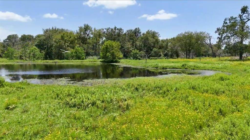 Beautiful Outdoor Scenery & Relaxing Atmosphere. Enjoy Amazing Country Breezes, Sunrises and Sunsets. Unrestricted. Horses & Cattle, Chickens and Other Livestock Welcome. Private Pond on Property for Livestock, etc. All 13.672 acres currently have an Ag Exemption... Equals Lower Taxes! (Hay & Wildlife Exemption).