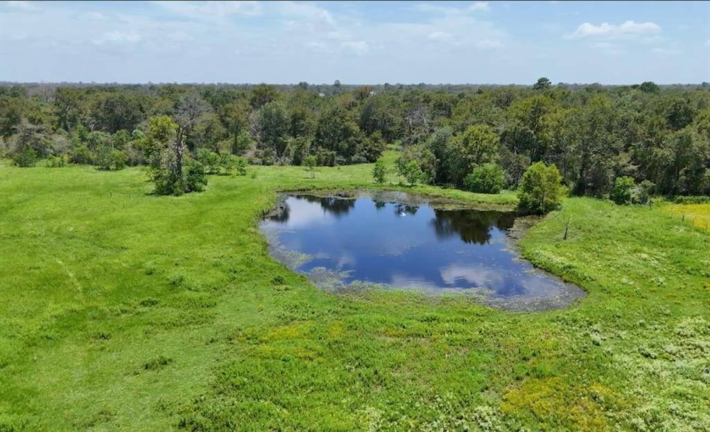 Beautiful Outdoor Scenery & Relaxing Atmosphere. Enjoy Amazing Country Breezes, Sunrises and Sunsets. Unrestricted. Horses & Cattle, Chickens and Other Livestock Welcome. Private Pond on Property for Livestock, etc. All 13.672 acres currently have an Ag Exemption... Equals Lower Taxes! (Hay & Wildlife Exemption).