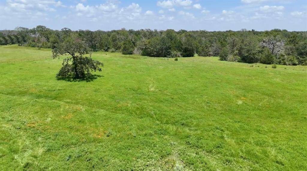 All 13.672 acres currently have an Ag Exemption... Equals Lower Taxes! (Hay & Wildlife Exemption). Approx. 7 Miles or 10 Minutes from HWY 290 @ HWY 6 in the Highly Desired Area of North Waller County, this Gorgeous Unrestricted Property is Ready for you to Build Your Dream Home. Surrounded by Large Ranches, Trees & Pastures on a Peaceful Cul-de-Sac Street. Beautiful Outdoor Scenery & Relaxing Atmosphere. Unrestricted.