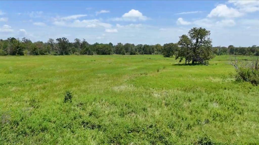 All 13.672 acres currently have an Ag Exemption... Equals Lower Taxes! (Hay & Wildlife Exemption). Approx. 7 Miles or 10 Minutes from HWY 290 @ HWY 6 in the Highly Desired Area of North Waller County, this Gorgeous Unrestricted Property is Ready for you to Build Your Dream Home. Surrounded by Large Ranches, Trees & Pastures on a Peaceful Cul-de-Sac Street. Beautiful Outdoor Scenery & Relaxing Atmosphere. Unrestricted.