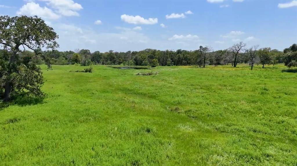 All 13.672 acres currently have an Ag Exemption... Equals Lower Taxes! (Hay & Wildlife Exemption). Approx. 7 Miles or 10 Minutes from HWY 290 @ HWY 6 in the Highly Desired Area of North Waller County, this Gorgeous Unrestricted Property is Ready for you to Build Your Dream Home. Surrounded by Large Ranches, Trees & Pastures on a Peaceful Cul-de-Sac Street. Beautiful Outdoor Scenery & Relaxing Atmosphere. Unrestricted.