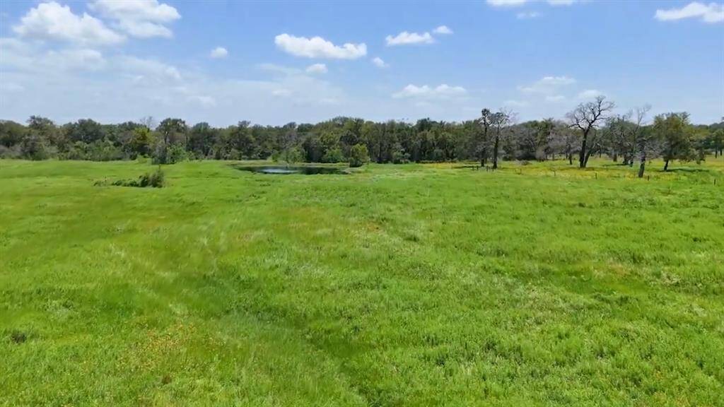 All 13.672 acres currently have an Ag Exemption... Equals Lower Taxes! (Hay & Wildlife Exemption). Approx. 7 Miles or 10 Minutes from HWY 290 @ HWY 6 in the Highly Desired Area of North Waller County, this Gorgeous Unrestricted Property is Ready for you to Build Your Dream Home. Surrounded by Large Ranches, Trees & Pastures on a Peaceful Cul-de-Sac Street. Beautiful Outdoor Scenery & Relaxing Atmosphere. Unrestricted.