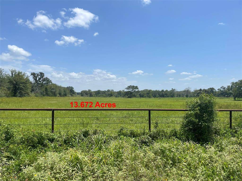 All 13.672 acres currently have an Ag Exemption... Equals Lower Taxes! (Hay & Wildlife Exemption). Approx. 7 Miles or 10 Minutes from HWY 290 @ HWY 6 in the Highly Desired Area of North Waller County, this Gorgeous Unrestricted Property is Ready for you to Build Your Dream Home. Surrounded by Large Ranches, Trees & Pastures on a Peaceful Cul-de-Sac Street. Beautiful Outdoor Scenery & Relaxing Atmosphere. Unrestricted.