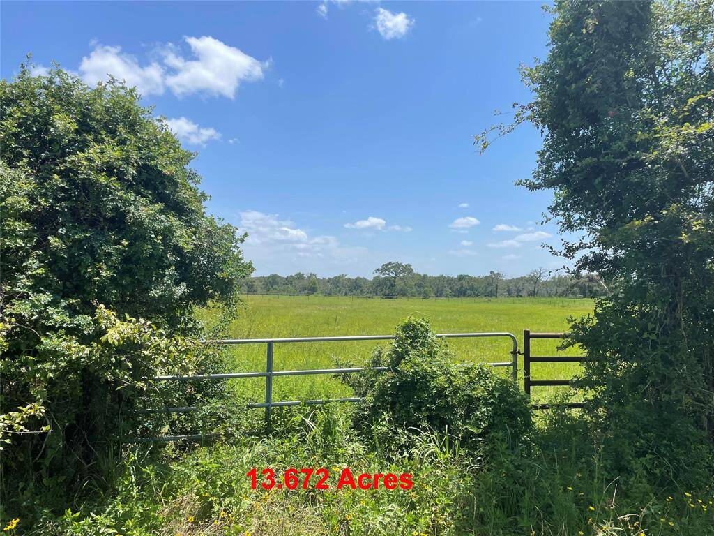 Entry Gate. All 13.672 acres currently have an Ag Exemption... Equals Lower Taxes! (Hay & Wildlife Exemption). Approx. 7 Miles or 10 Minutes from HWY 290 @ HWY 6 in the Highly Desired Area of North Waller County, this Gorgeous Unrestricted Property is Ready for you to Build Your Dream Home. Surrounded by Large Ranches, Trees & Pastures on a Peaceful Cul-de-Sac Street. Beautiful Outdoor Scenery & Relaxing Atmosphere. Unrestricted.