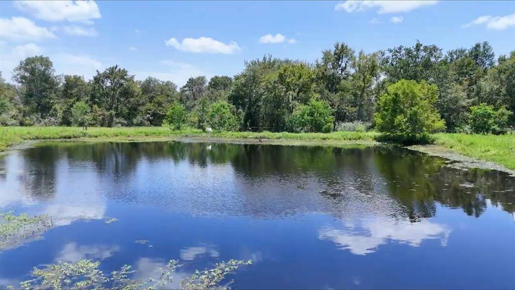 Beautiful Outdoor Scenery & Relaxing Atmosphere. Enjoy Amazing Country Breezes, Sunrises and Sunsets. Unrestricted. Horses & Cattle, Chickens and Other Livestock Welcome. Private Pond on Property for Livestock, etc. All 13.672 acres currently have an Ag Exemption... Equals Lower Taxes! (Hay & Wildlife Exemption).