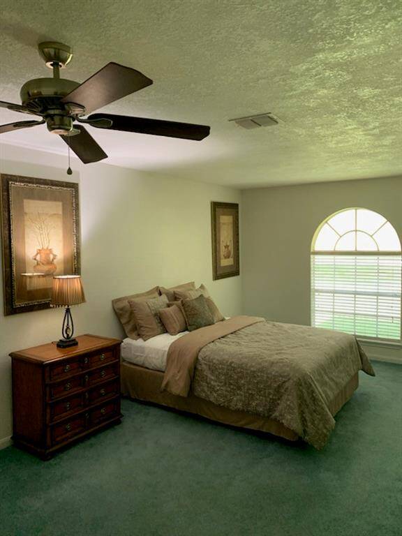 Large primary bedroom is located in the front of the home. Lovely arched window brings in early morning light.