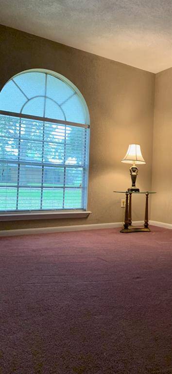 This room features high ceilings, a large arched window for ample natural light, and plush carpeting, offering a warm and inviting space. It is one of two secondary bedrooms. This one is located in the front of the home.