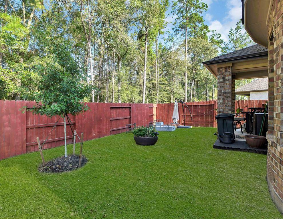 Back yard