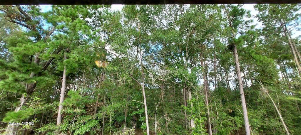 Treed reserve behind home - no rear neighbors