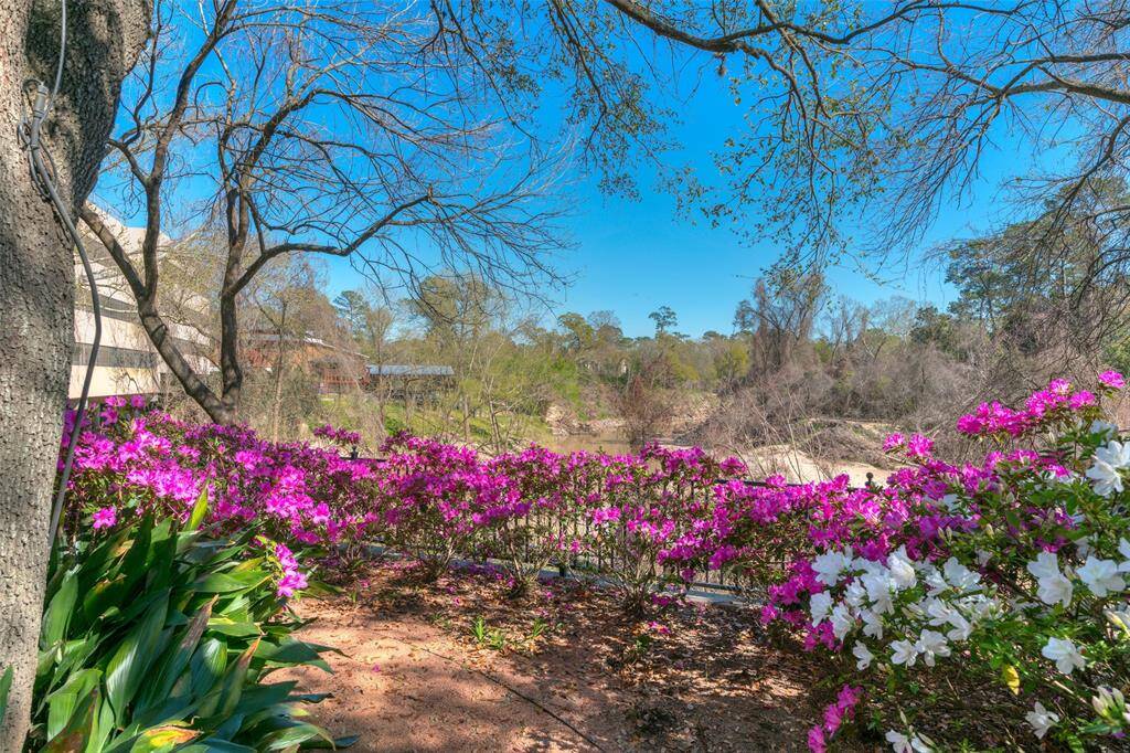 Experience stunning gardens in full bloom during azalea season.