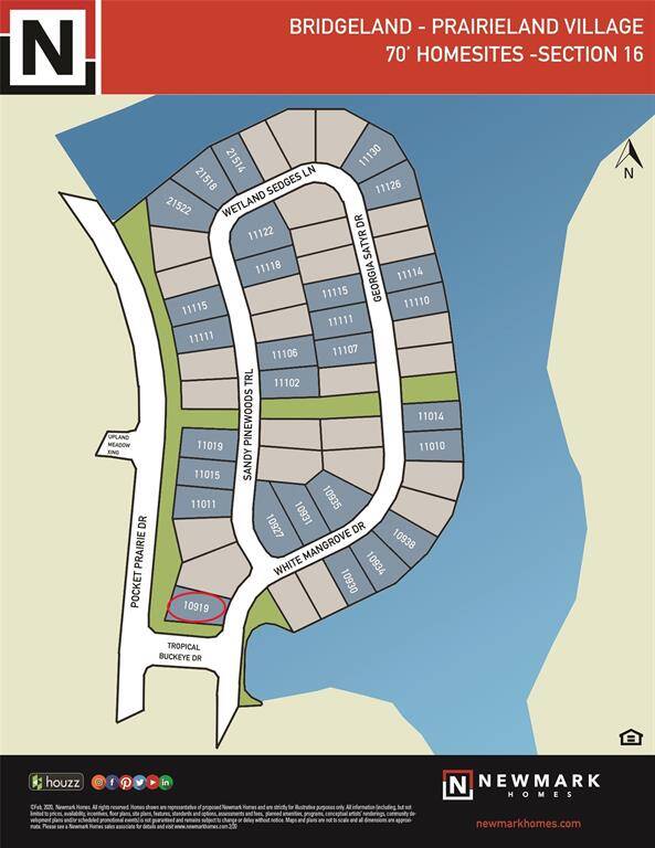 10919 WHITE MANGROVE DRIVE
