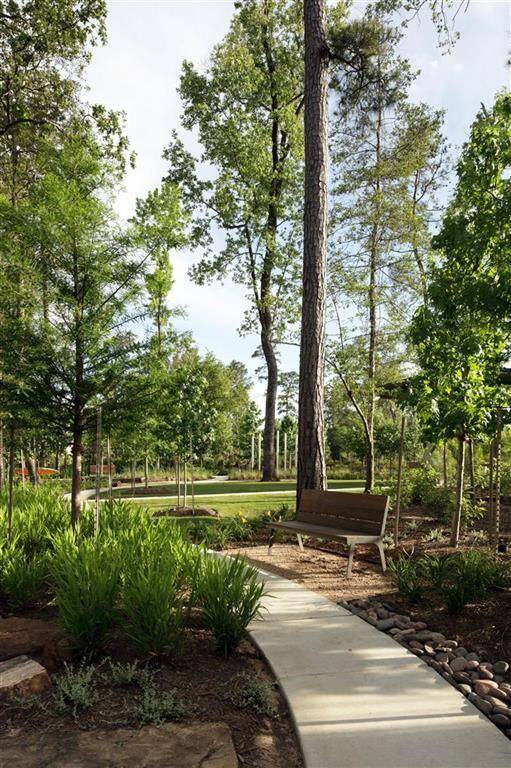 Walking Trail