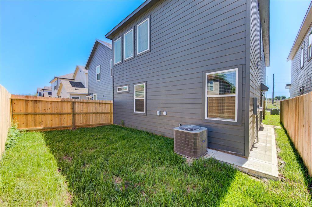 Back Yard area