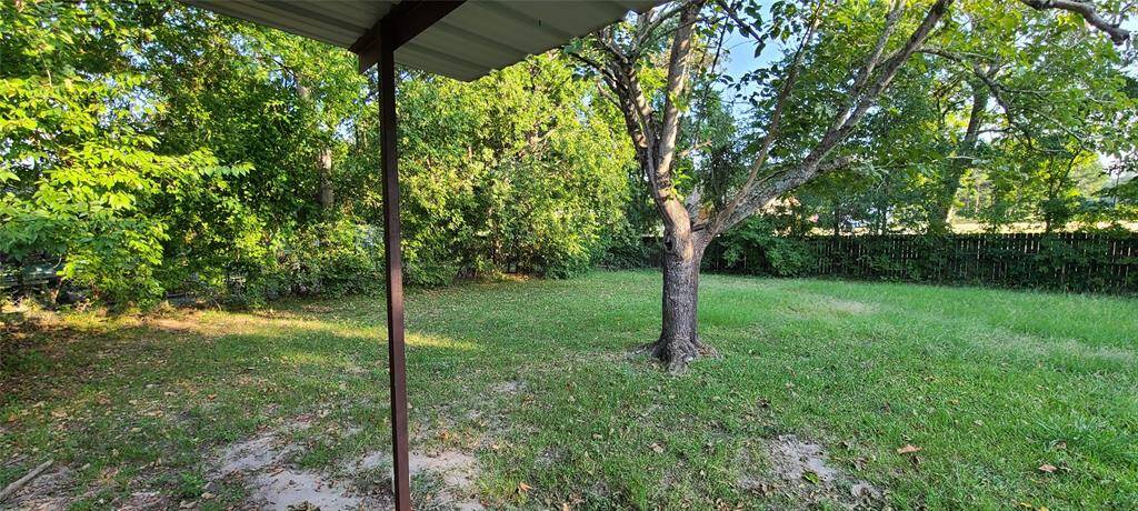Another view of back yard
