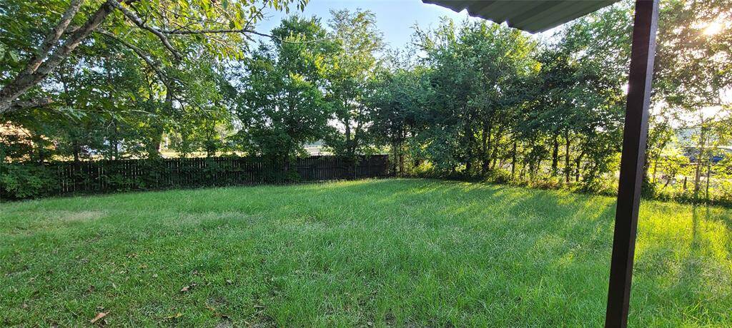 Another view of back yard