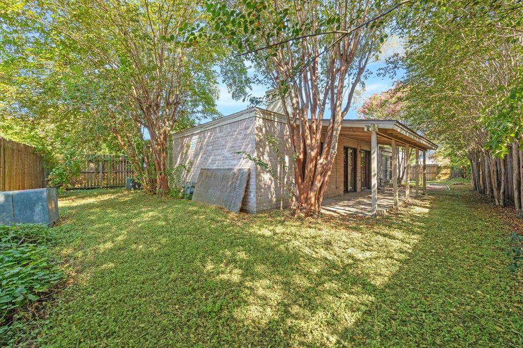 Backyard.