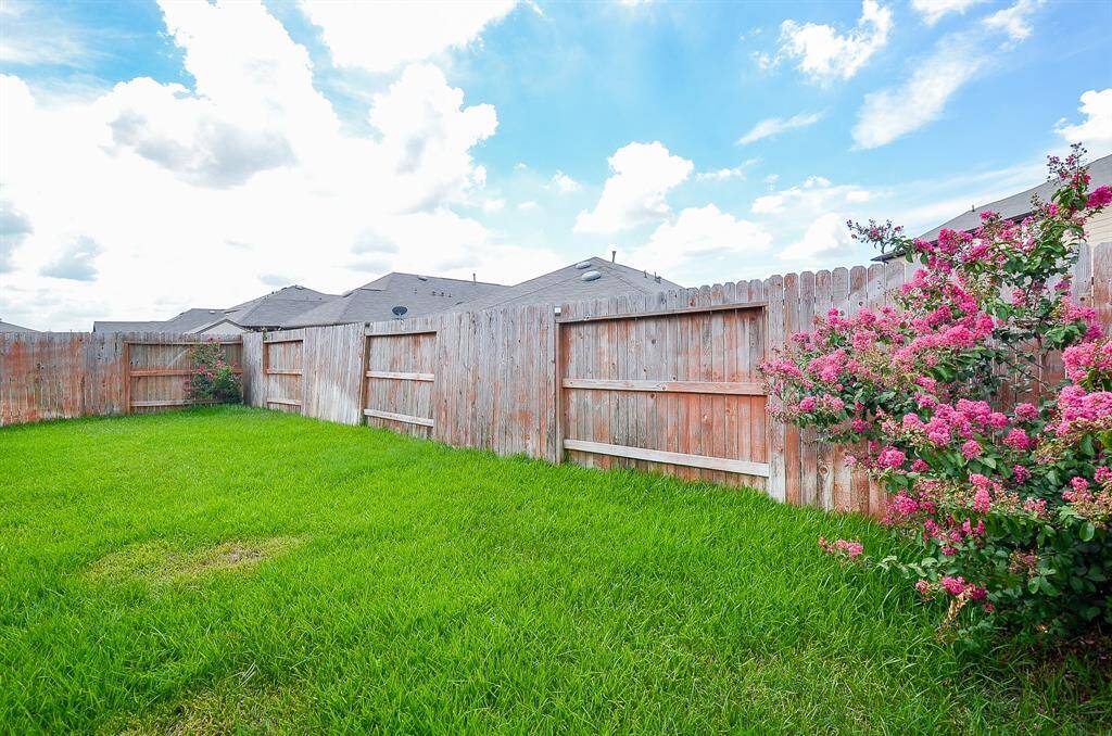 Another view of back yard.