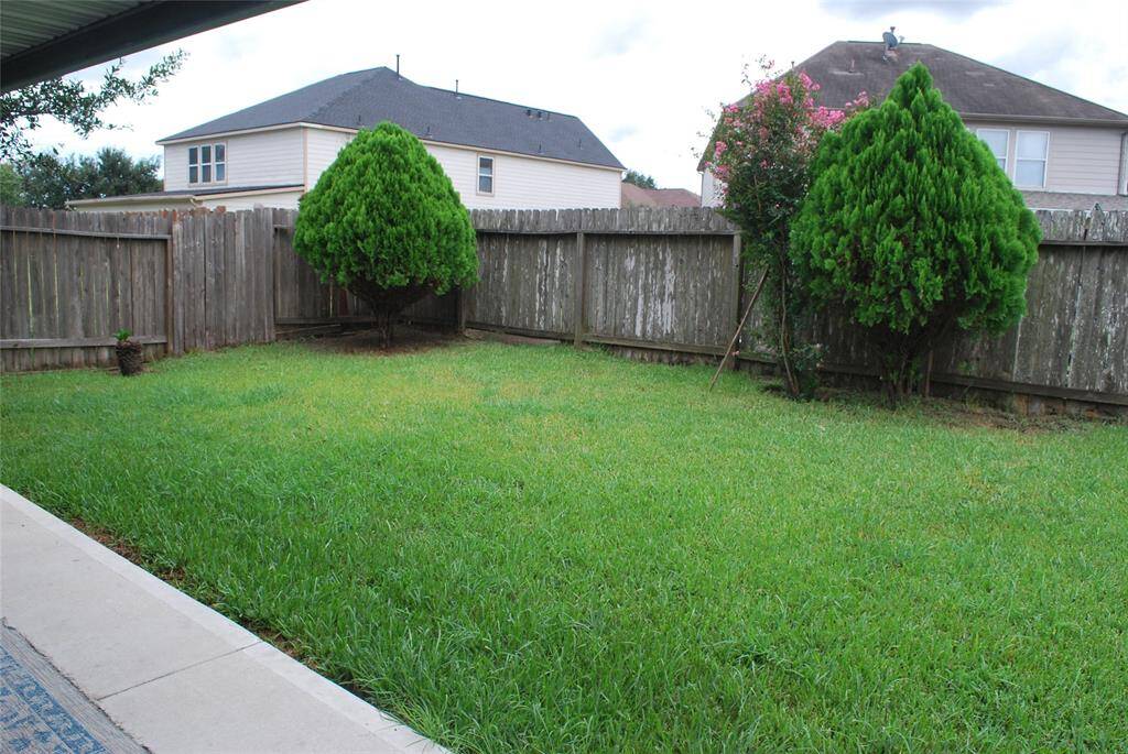 Wonderful and peaceful backyard