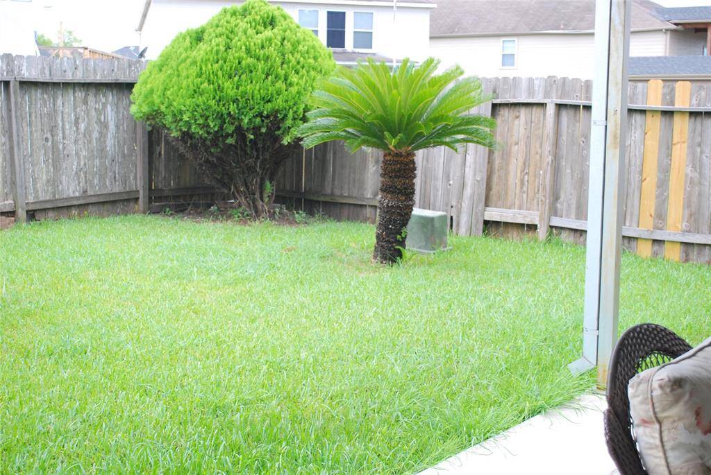 Another view of the backyard