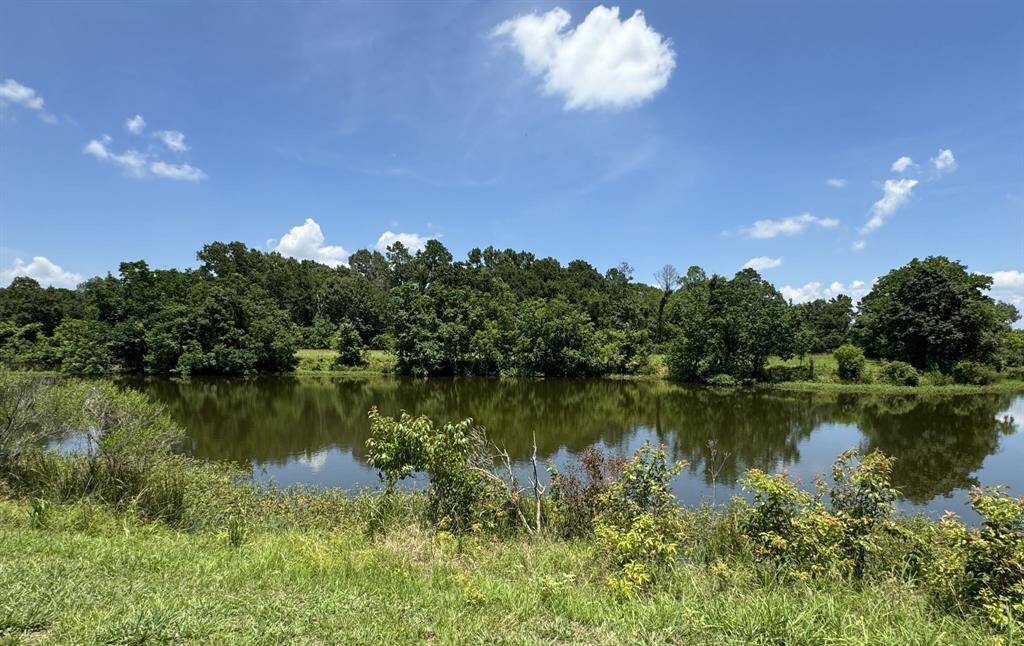 Enjoy fishing in your own stocked community pond!