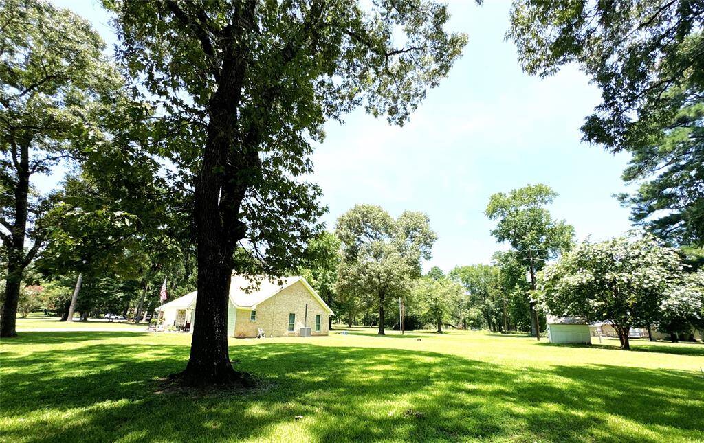 Expansive property with ample space and a bonus storage building in the back. Perfect for your needs!