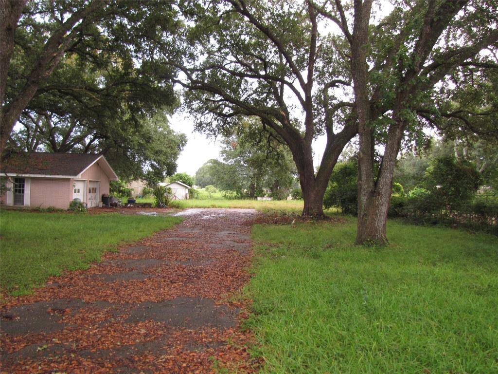 The long driveway leading to the house.