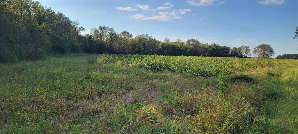 In those woods, the outbuildings were located. There was also a farmhouse that burned down, not sure where on the property, may be near here (smaller planted acreage)