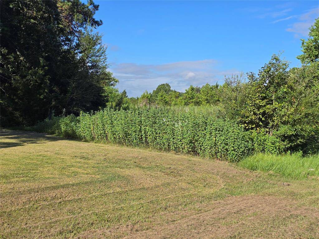 Left side of tract
