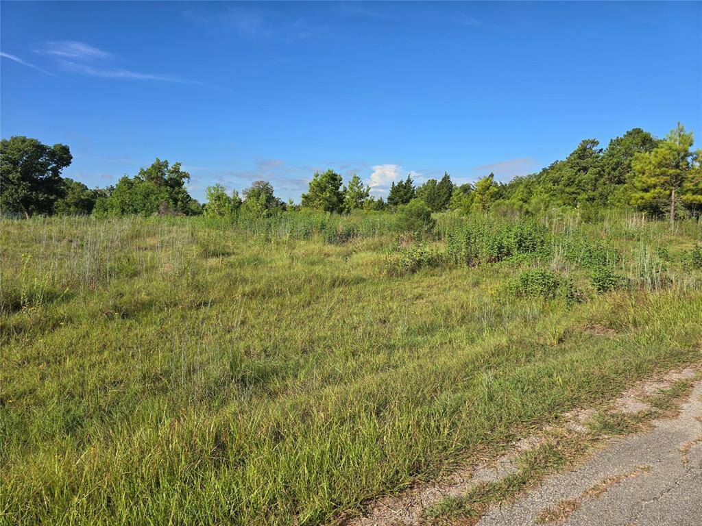 Street view of entire acreage