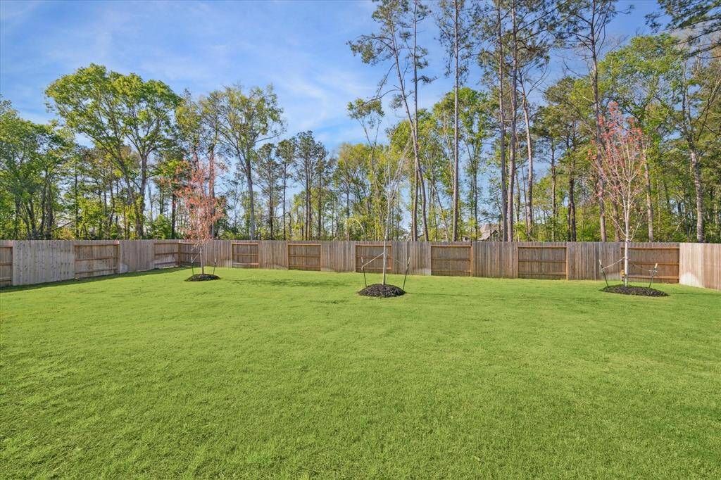 View of Backyard from Back Porch