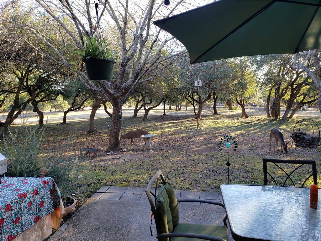 Lots of deer to feed!