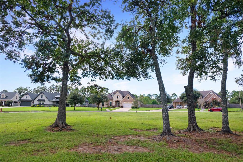 The photo showcases a peaceful suburban street with spacious single-family homes set back from the road, featuring well-manicured lawns and mature trees providing ample shade.