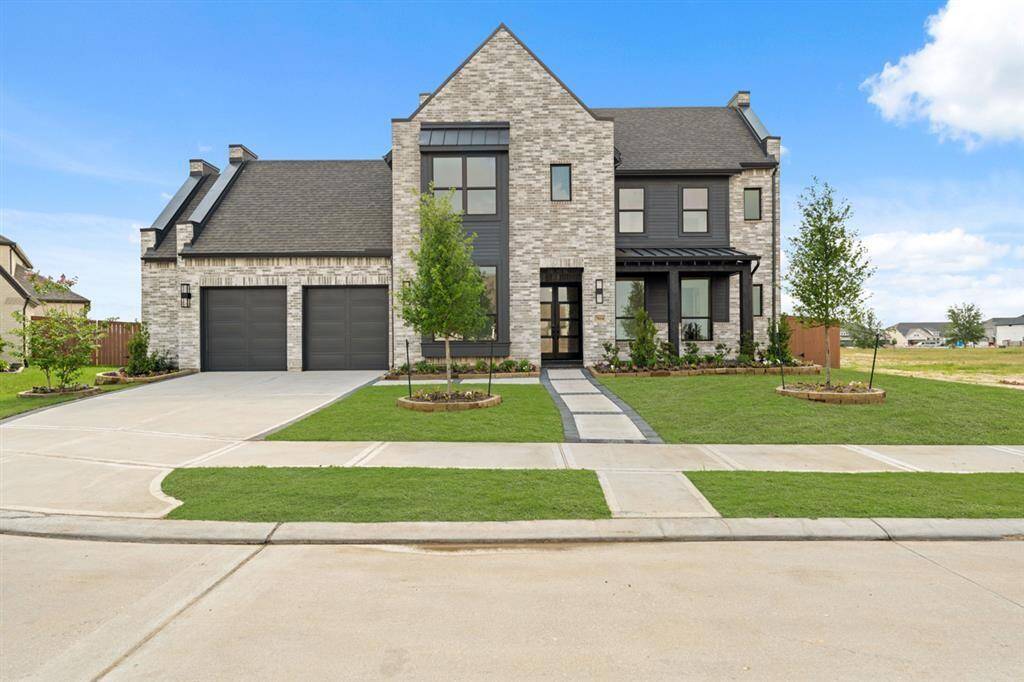 7814AshySunflowerALTAMD028