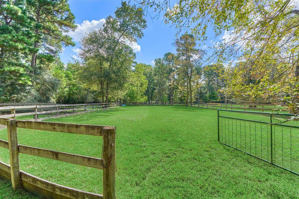 Lighted horse arena, soaring trees, and cross-fenced pastures.