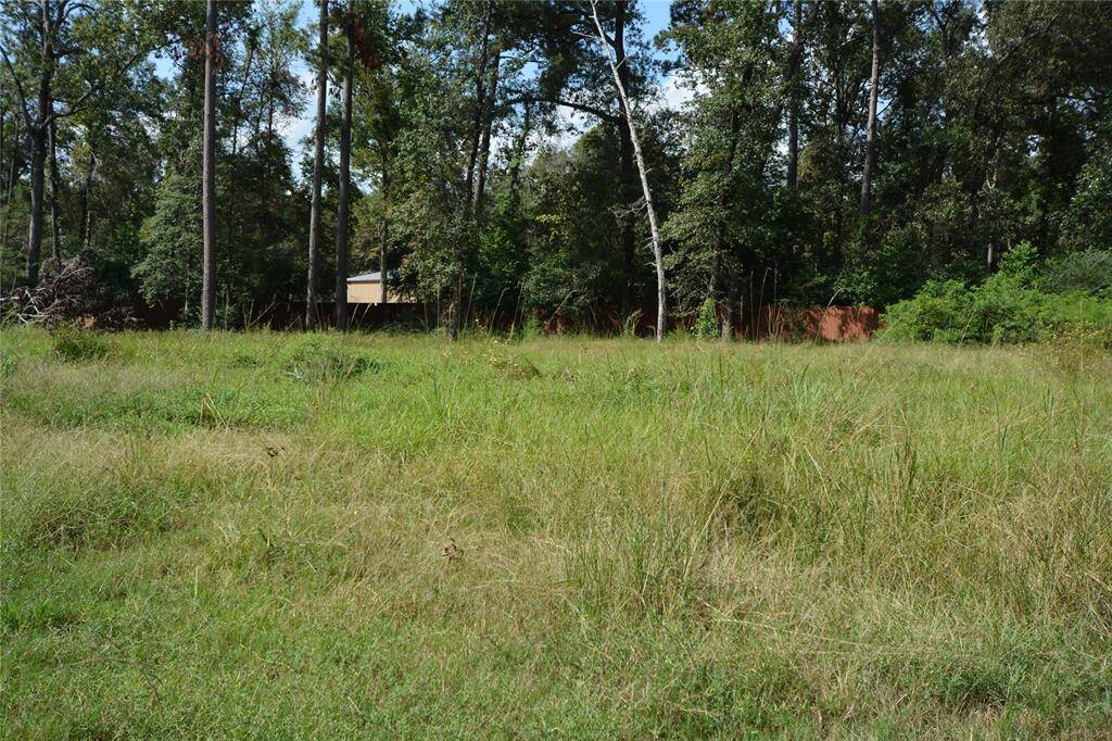 Rear View for the lot on 19388 Acorn Hill Dr.