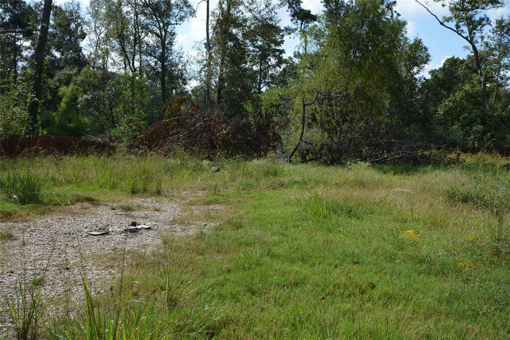 Rear View for the lot on 19402 Acorn Hill Dr.