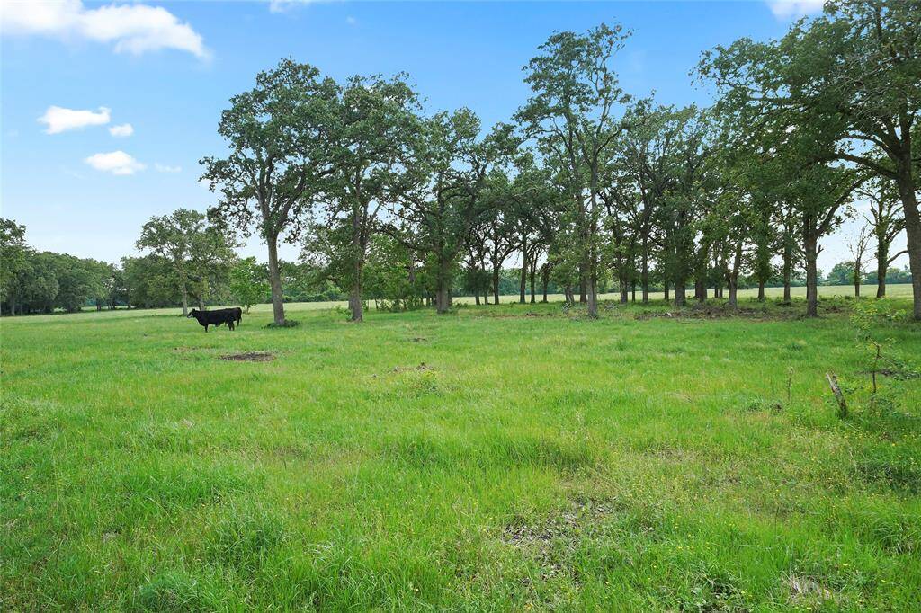 Additional Acreage Available!