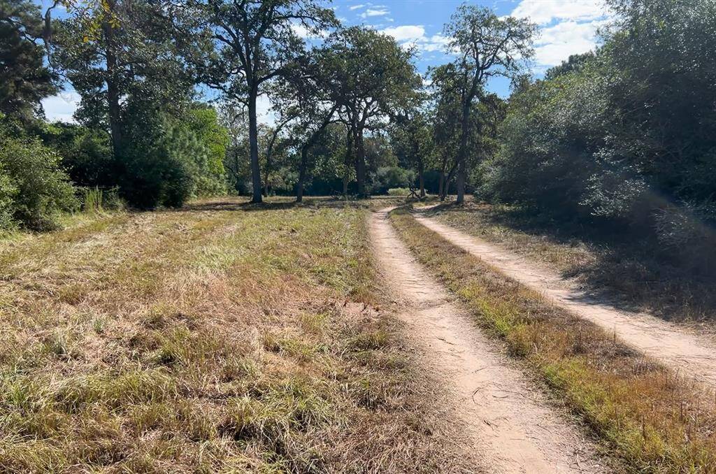 Land