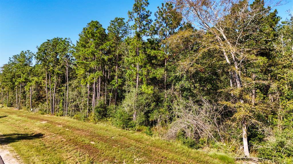 A spacious 2.02-acre forested lot in the tranquil Republic Grand Ranch community awaits your dream home.