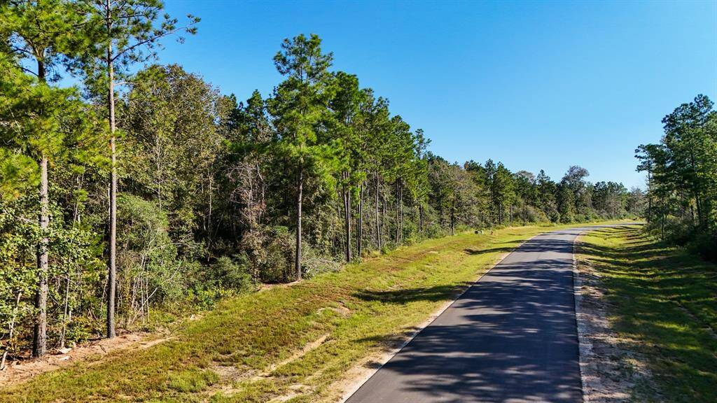 A bird’s eye view of your future retreat, highlighting the vast expanse and natural beauty of the landscape peppered with mature trees.