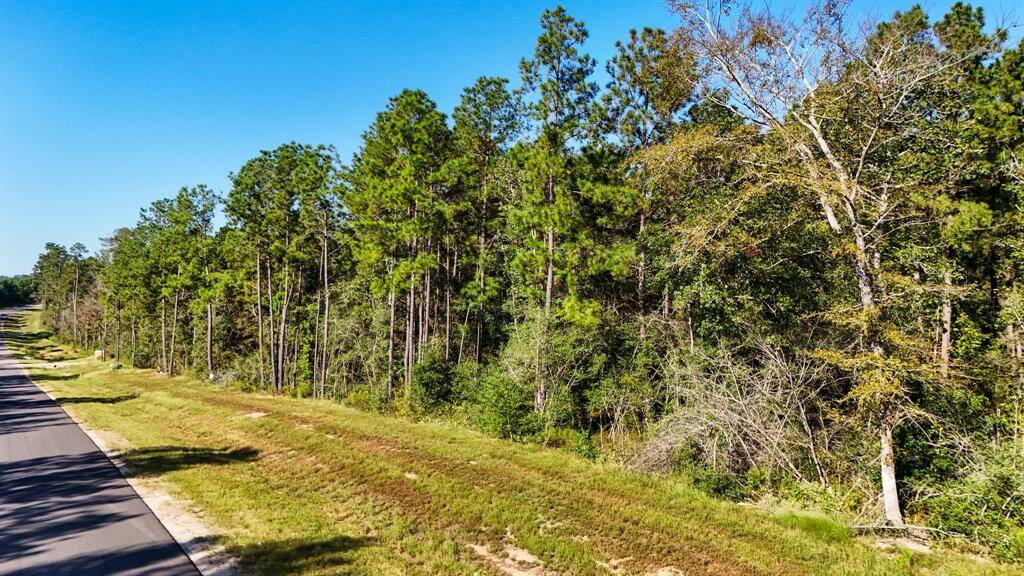 The perfect canvas for your dream home, surrounded by nature and offering a peaceful retreat.