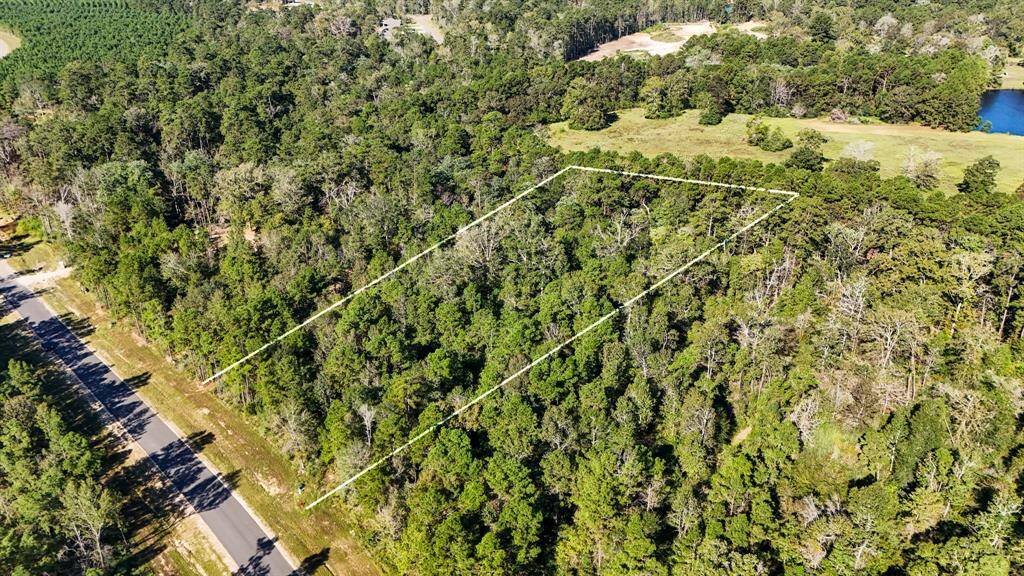 The tree coverage allows for you to pick & choose what areas to clear or keep forested for shaded areas of the property as desired.