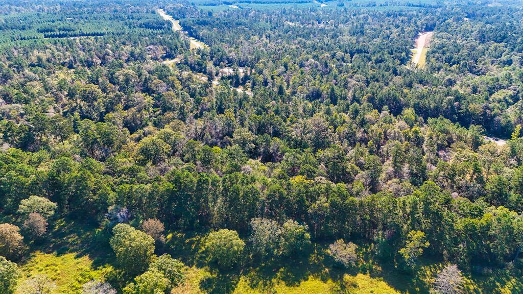 15821 Ridge Rock Dr rests on a 2 acre lot in Republic Grand Ranch, just 25 minutes to Conroe and a short commute to Houston. The roads are paved, utilities are available, and it's ready for your builder! Best part, the rear borders farm land and a spring fed creek.