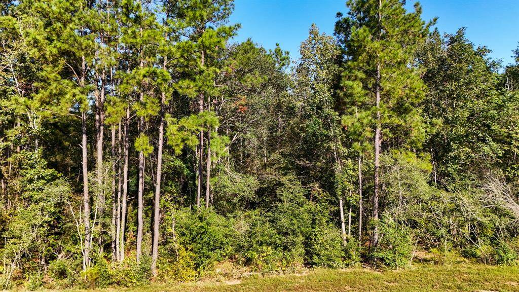 15821 Ridge Rock Dr rests on a 2 acre lot in Republic Grand Ranch, just 25 minutes to Conroe and a short commute to Houston. The roads are paved, utilities are available, and it's ready for your builder! Best part, the rear borders farm land and a spring fed creek.