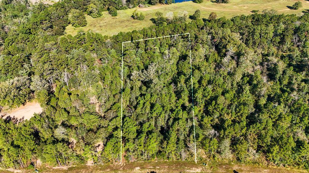 15821 Ridge Rock Dr rests on a 2 acre lot in Republic Grand Ranch, just 25 minutes to Conroe and a short commute to Houston. The roads are paved, utilities are available, and it's ready for your builder! Best part, the rear borders farm land and a spring fed creek.