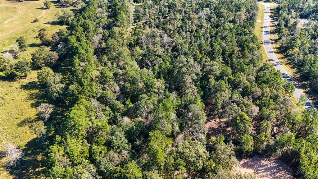 In this aerial photo showcases the, lushly forested area with mature trees, offering a sense of seclusion and natural beauty.